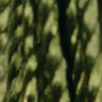 A 98